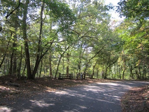 15 Road Approaching Nature Center