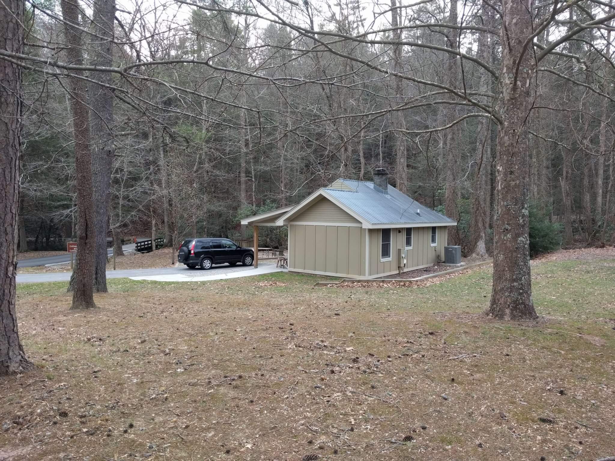 On Visiting Vogel State Park Nate Shivar
