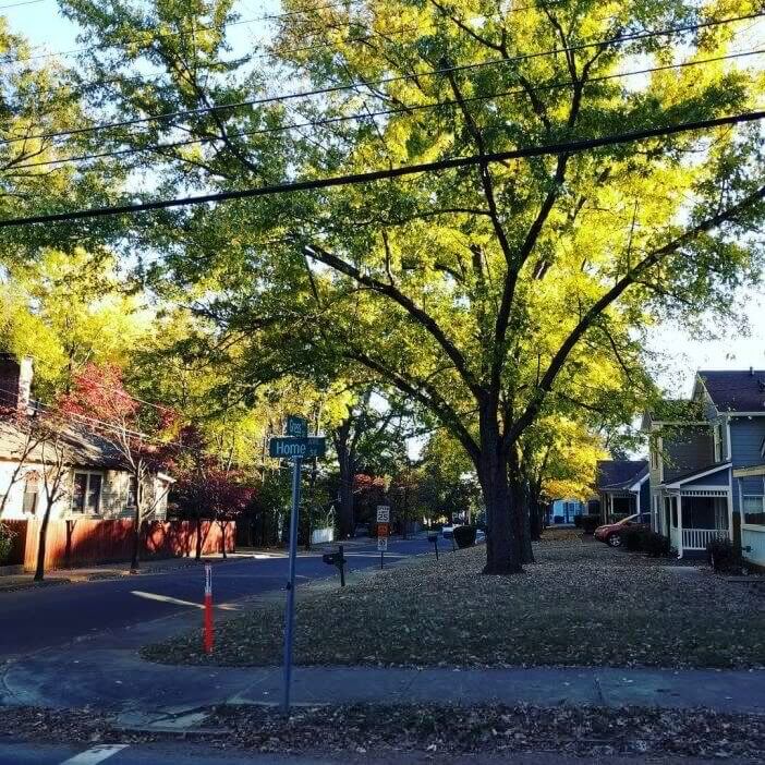 Fall in Atlanta