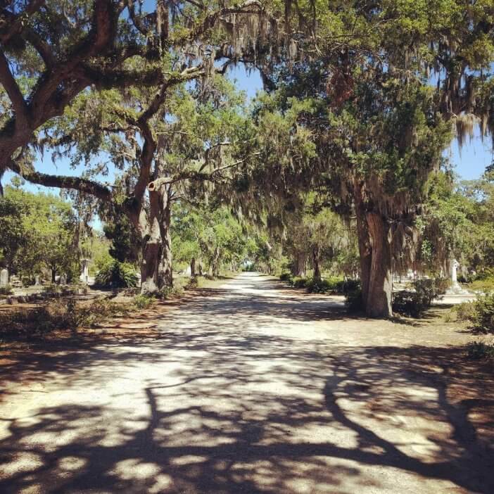 Savannah - Bonaventure Cemetery