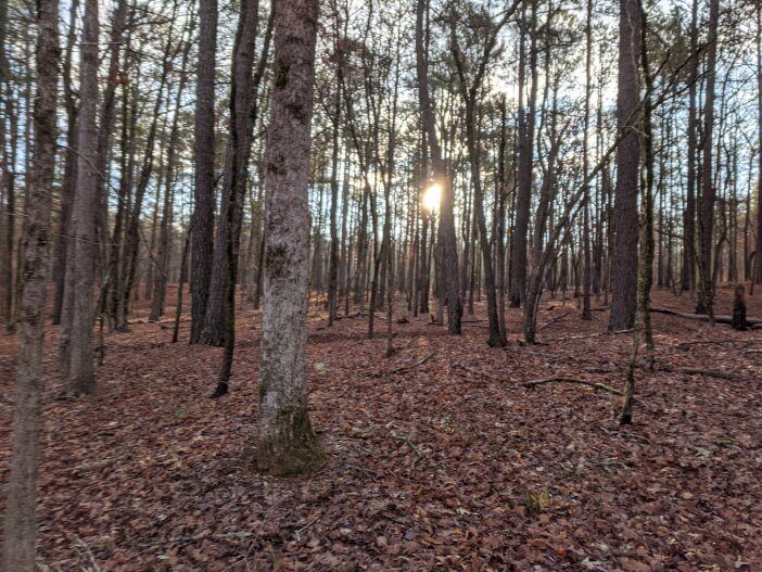 Little River Oconee National Forest 5
