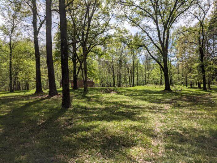 Scull Shoals Site 1