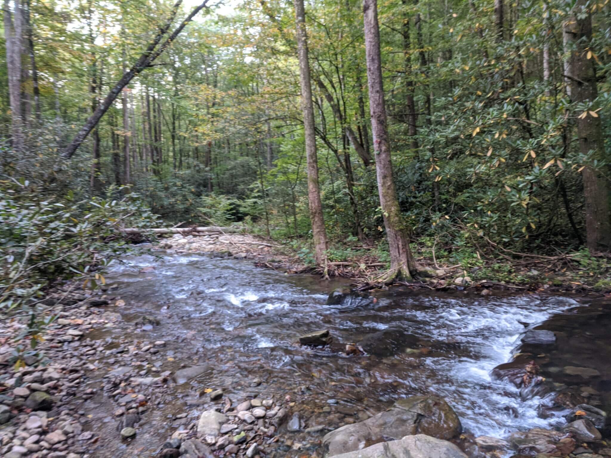 Tallulah River Headwaters Nate Shivar