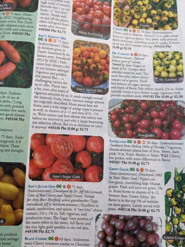 Southern Exposure Seed Exchange Tomatoes