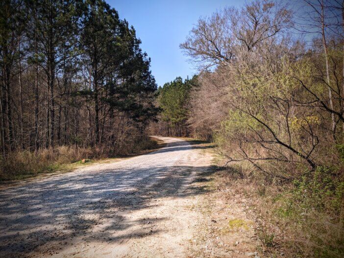 Georgia Road