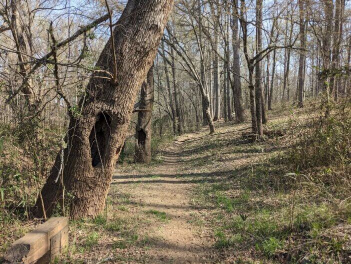 Wise Creek Trail