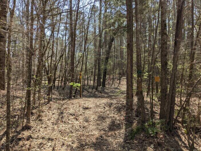 Hiking Wise Creek Trail in Oconee National Forest 9