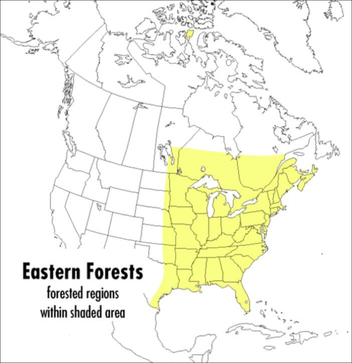 Eastern Forests by Petersen Guides