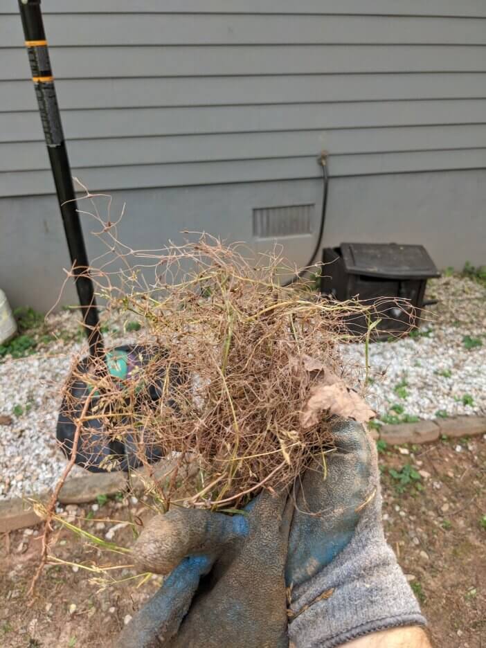 Don’t Install Sod