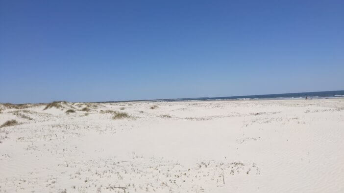 10 Notes on Visiting Cumberland Island National Seashore
