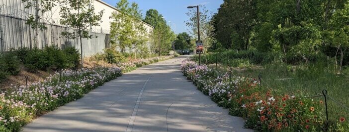 3 Reasons Why Replacing Traditional Lawns Are Underrated