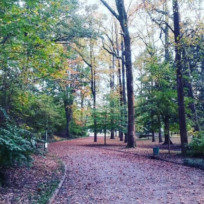 3 Reasons Why City Parks Are Underrated