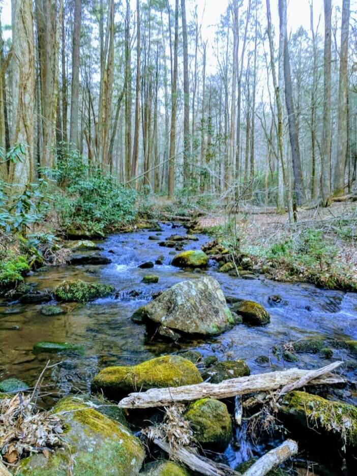 A creek in the Southern Appalachians in Georgia, USA