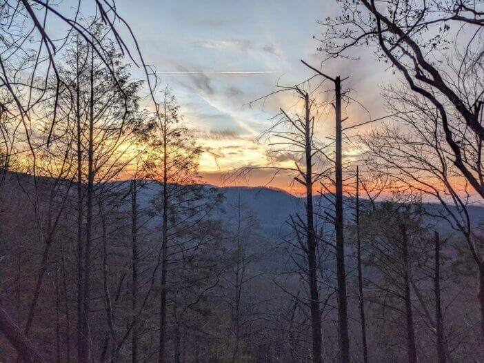 Cohutta Wilderness, Georgia, USA