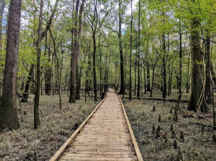 Congaree National Park. One of the NP's that is only really visitable in the winter