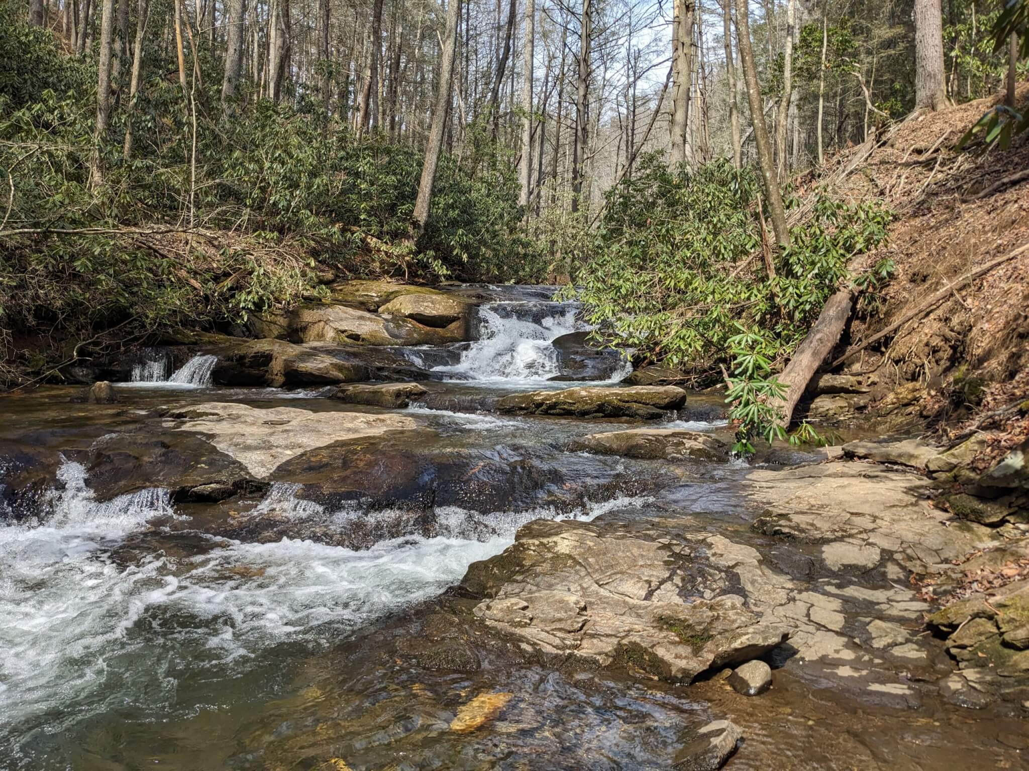 Waterfall in the Raven Cliffs Wilderness