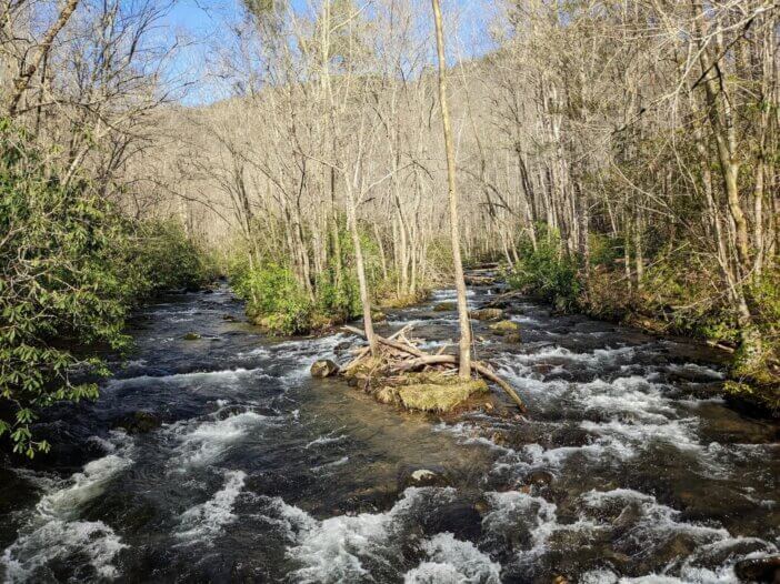 Forney Creek in Great Smoky Mountains National Park.