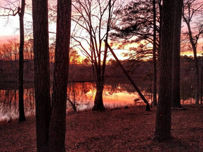 Georgia winter sunset