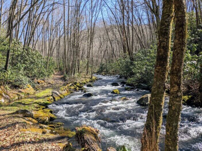 Hazel Creek in the Great Smoky Mountains National Park.