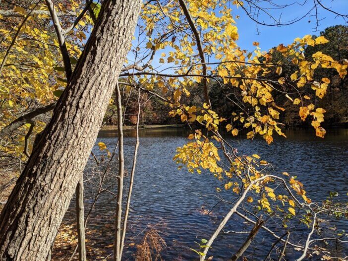 Late fall at the Chattahoochee National Recreation Area