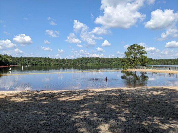 Beach at Little Ocmulgee State Park