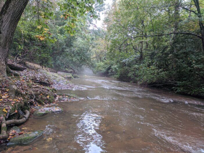 Piedmont Stream in Victoria Bryant State Park