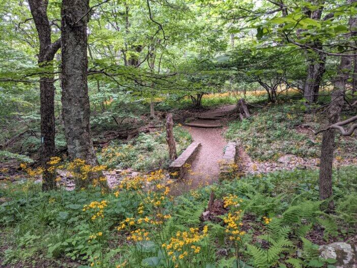 Bridge in Shenandoah National Park