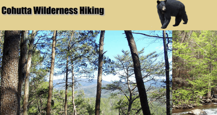 Cohutta Wilderness Website