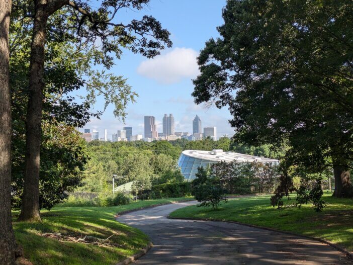 City Skyline From Park