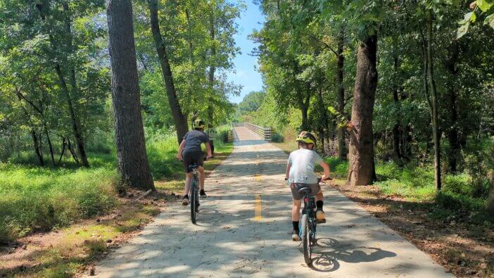 Cyclists On Forest Path