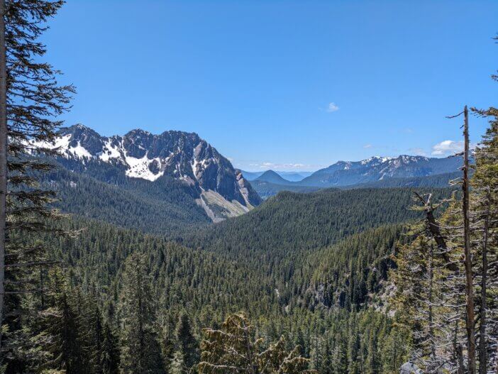 Mountain Forest Landscape