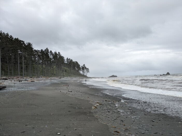 Overcast Beach With Forest