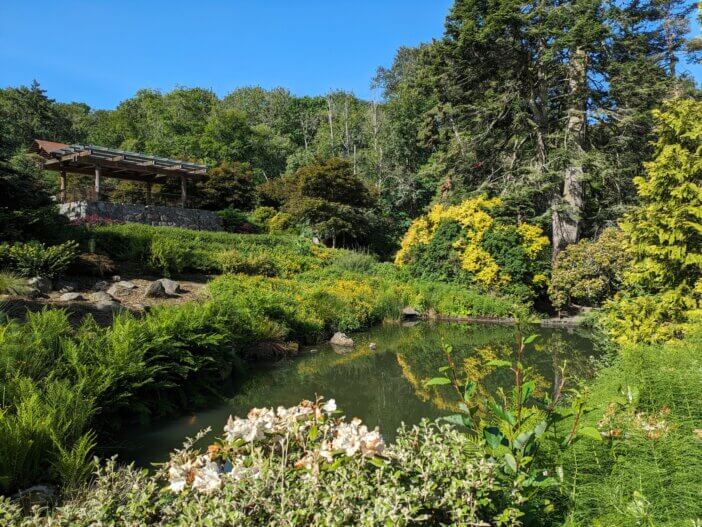 Serene Garden Landscape