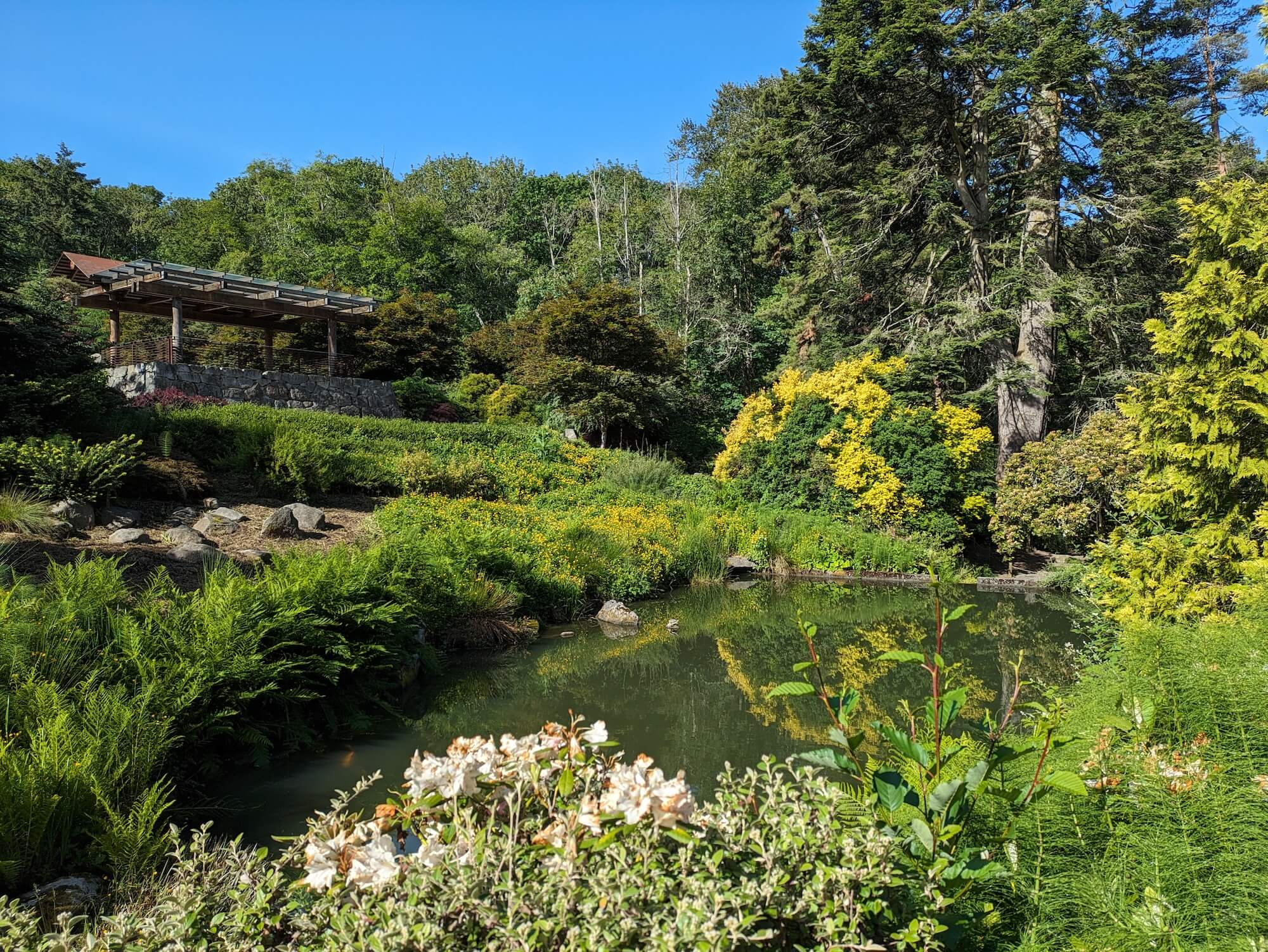 Serene Garden Landscape