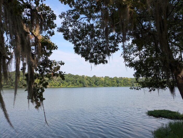 Serene Lake View