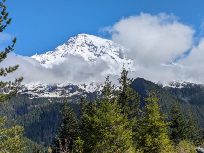 Snow Capped Mountain With Forest