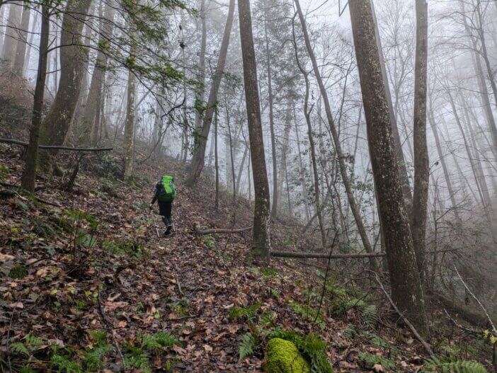 Fog on Chestnut Lead Trail in the Cohutta Wilderness
