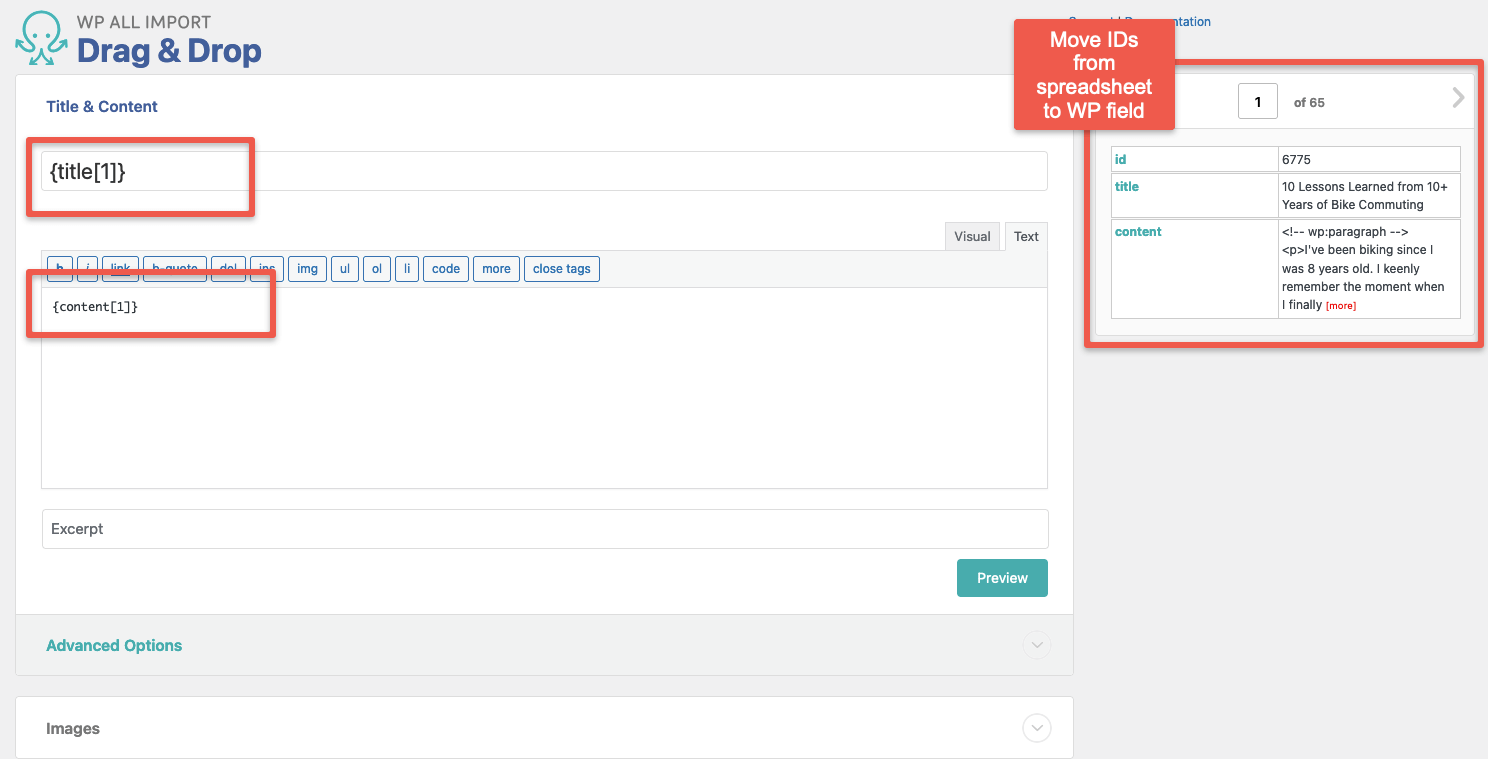 8 Pros + Cons of the WP All Import & Export WordPress Plugin - Nate Shivar