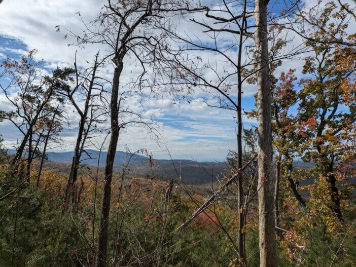 5 Notes On the Cohutta Wilderness 1
