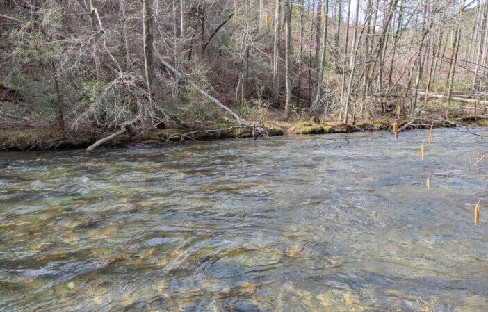 5 Notes On the Cohutta Wilderness 3