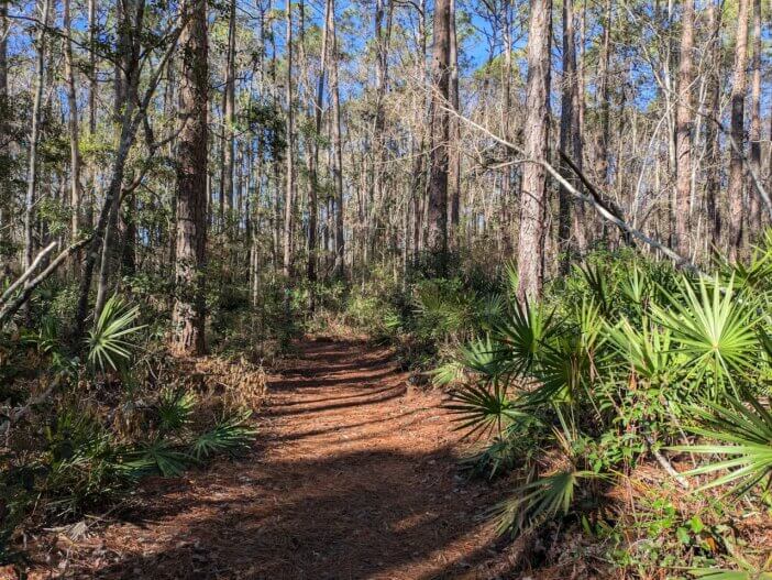 Visiting Laura S. Walker State Park 4