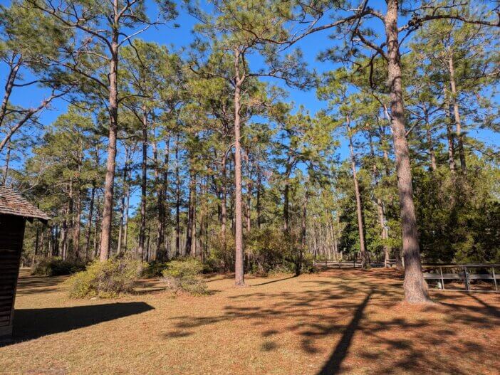 Visiting Laura S. Walker State Park 6