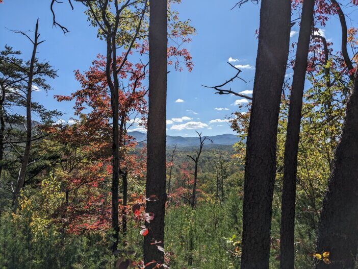 Cohutta Wilderness from East Cowpen Trail