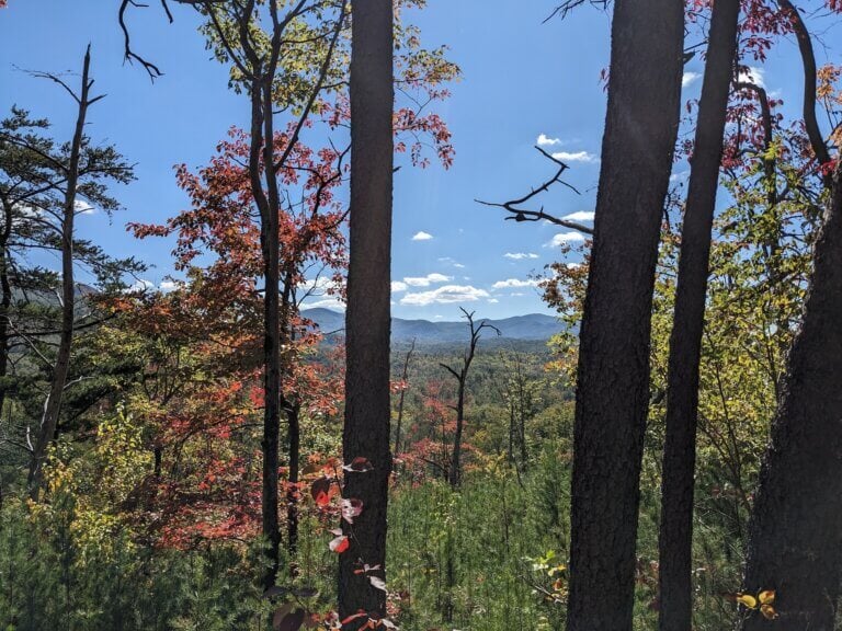 Cohutta Wilderness from East Cowpen Trail