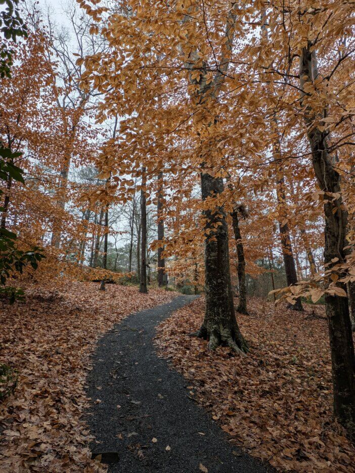 Beech Grove at Atlanta History Center