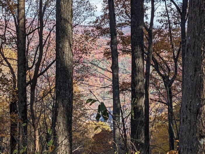 Autumn in the Cohutta Wilderness