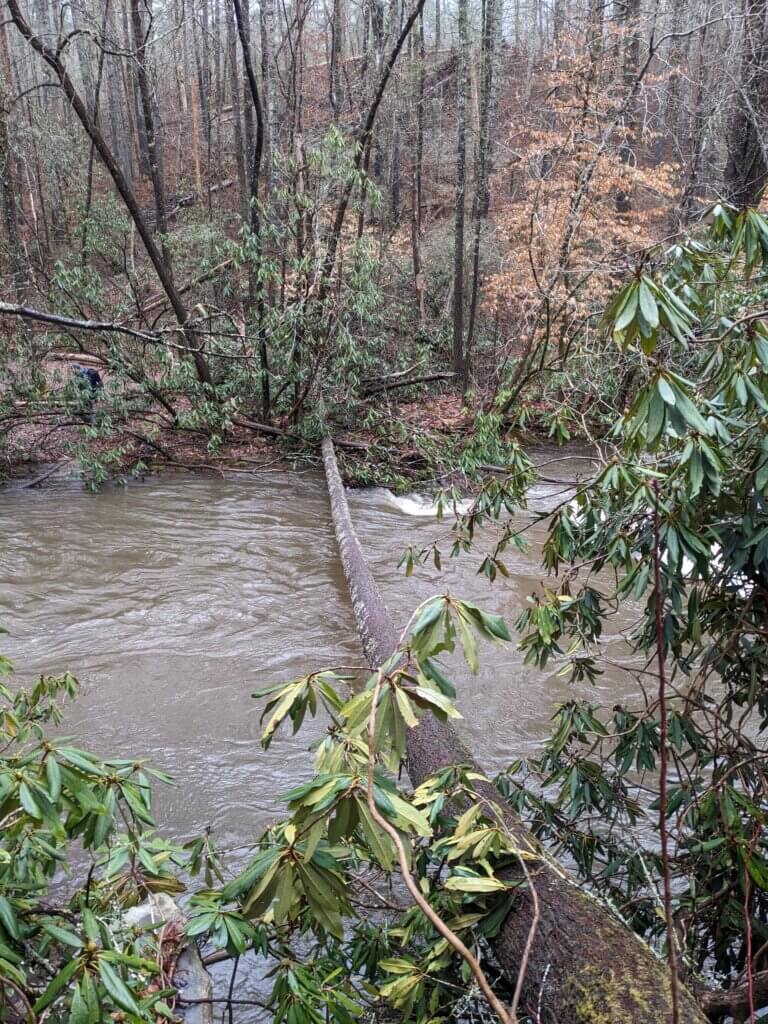 Makeshift Bridge over a Swollen Jacks River
