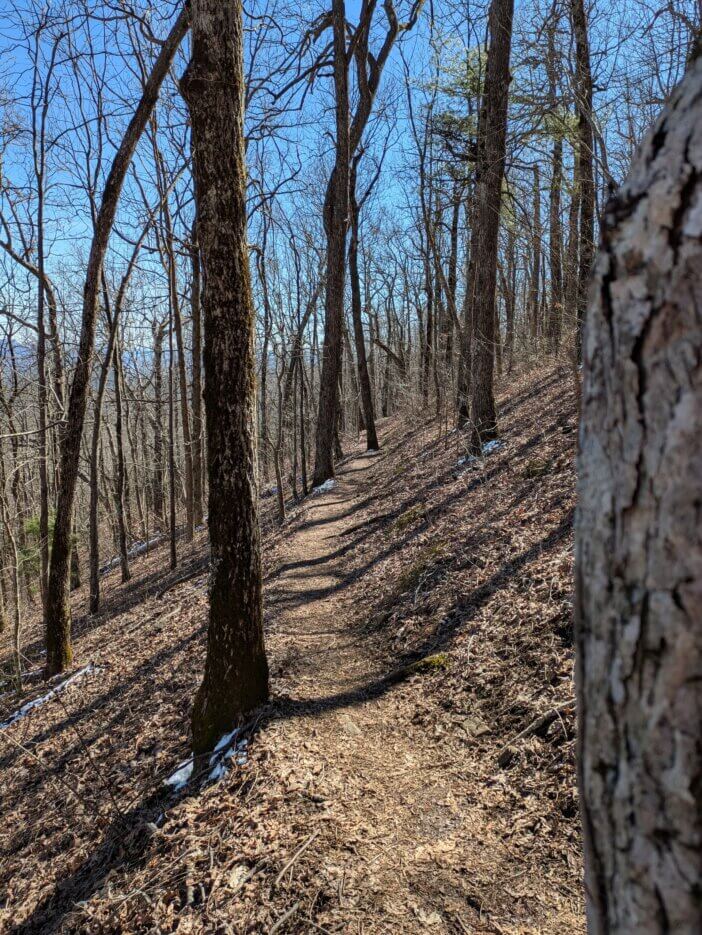 Appalachian Trail, Southbound at Hogpen Gap, Georgia