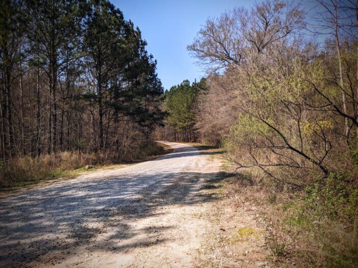 Forest Road in the Oconee National Forest