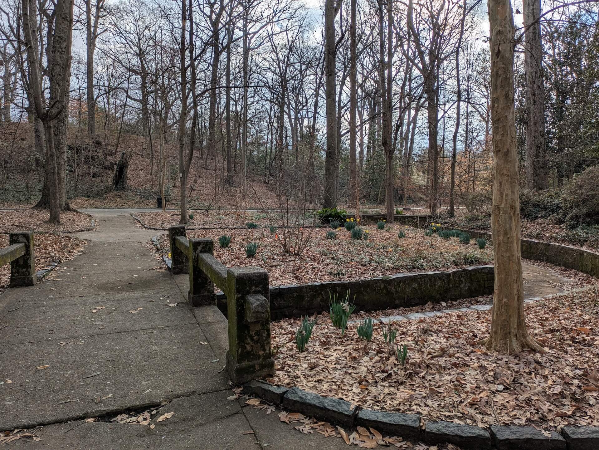 Constitution Springs in Grant Park 1